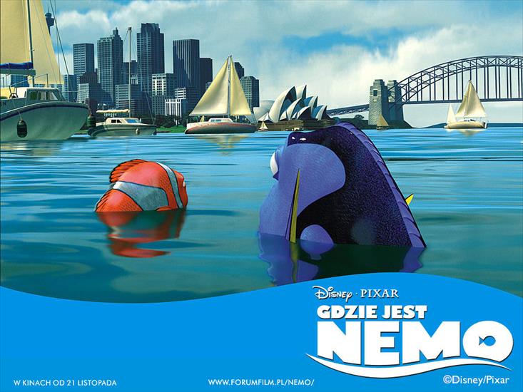 Gdzie jest Nemo - 437_1024x768.jpg