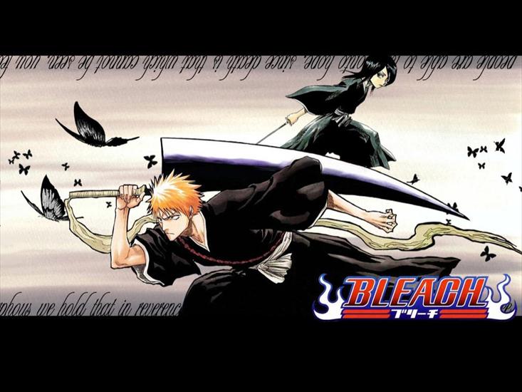 BLEACH - 100495.jpg