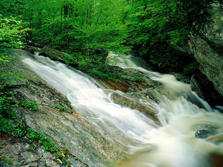 TAPETY WIDOKI - Wilson Creek, Pisgah National Forest, North Carolina.jpg