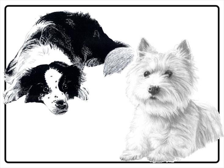 Animals - dogs2_jpg.jpg