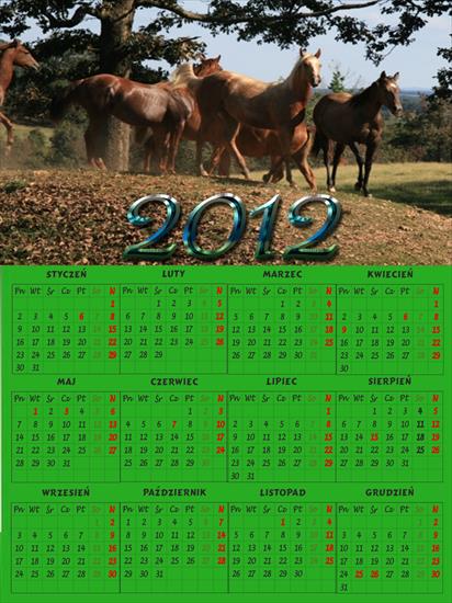 Kalendarze na 2012 rok - kalendarz 201216.jpg