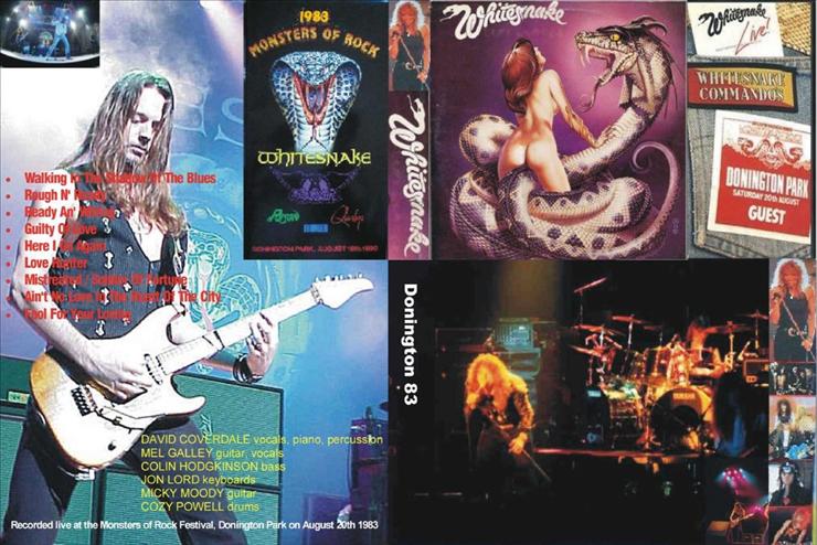 okładki DVD koncerty - Whitesnake_-_Live In Donington 1983.jpg