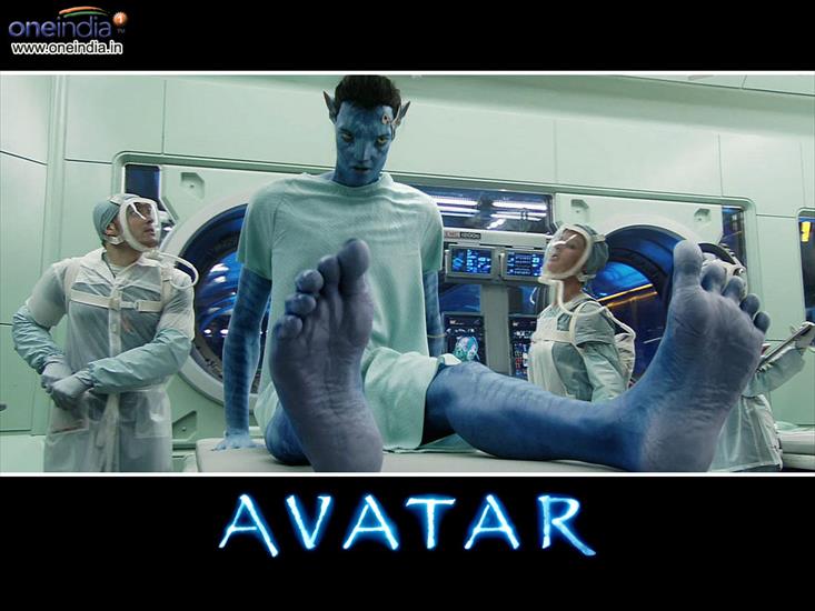 Avatar - 13.jpg