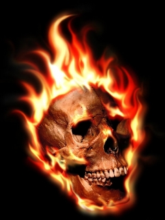 tapety na komorke czaszki 240x320 - fireskull.jpgopo.jpg