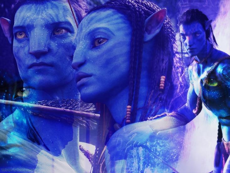 Avatar - Avatar 36.jpg