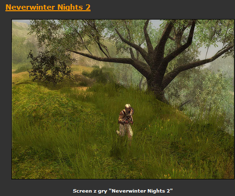 Neverwinter Nights 2  gra PL - ScreenShot023.bmp