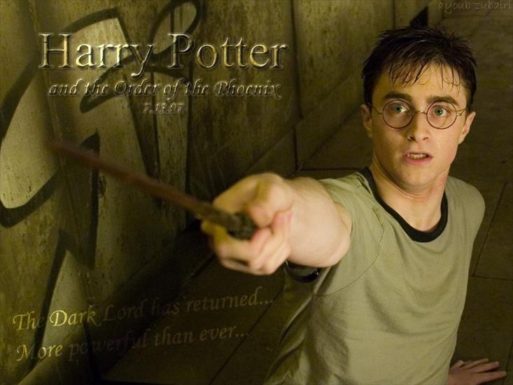 Harry Potter zdjecia - Harry-Potter dementorzy.jpg