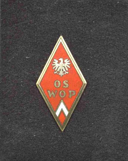 Szkoły oficerskie  w latach 1952-1972 - odznaka Oficerskiej Szkoły Wojsk Chemicznych - Wrocław1.jpg