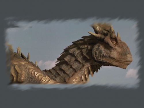 zachomikowane - Dragon_021.jpg