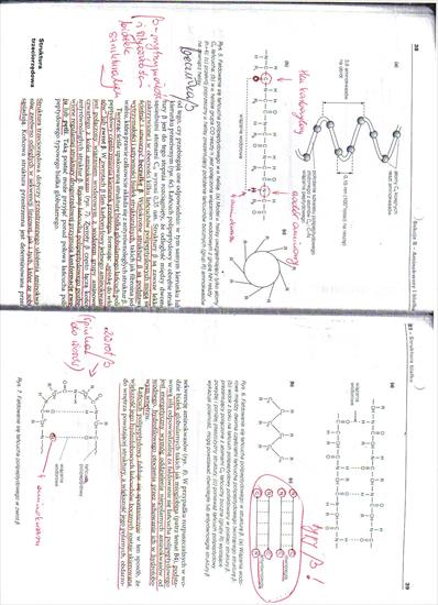 opracowanie cw 1 - biochemia cw 1,9.jpg