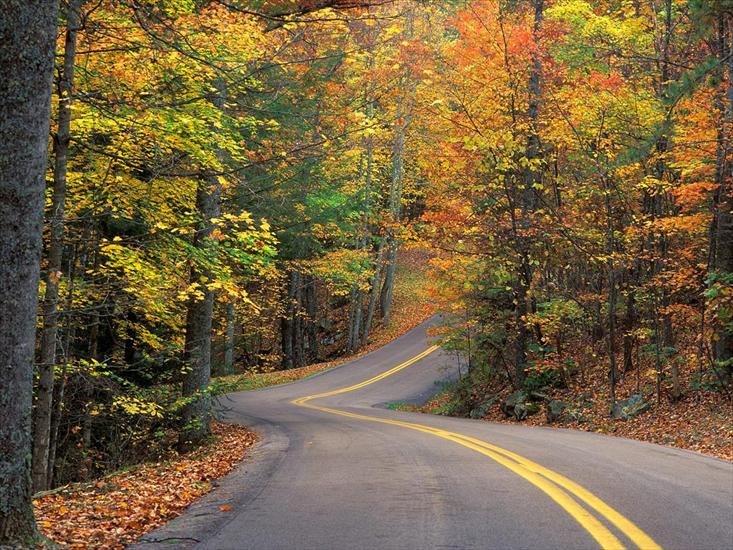 tapety - Autumn Colors Road.jpg