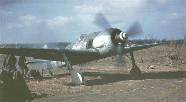samoloty - Focke Wulf Fw-190.jpg