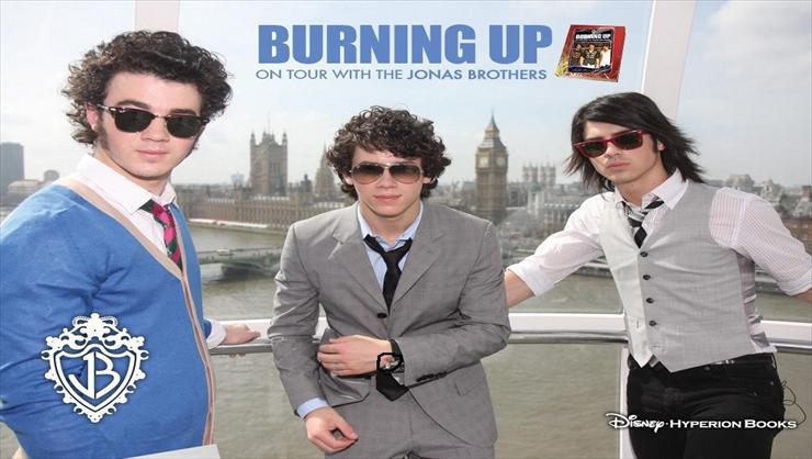 Jonas Brothers - jonas-brothers-rock-the-jonas-brothers-2985956-1024-768.jpg