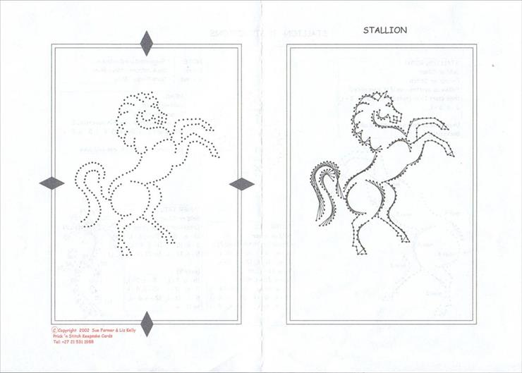 HAFT MATEMATYCZNY3 - Stallion pattern.jpg