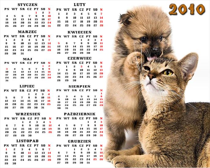 Kalendarze 2010 - 200.jpg