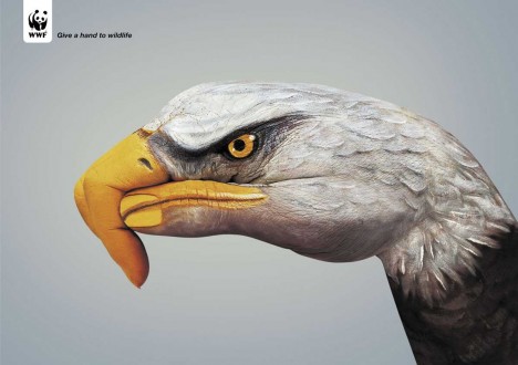 Galeria - wwf-eagle.jpg