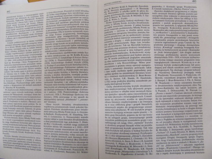 słownik XIX wieku - Krytyka lit. 3.JPG