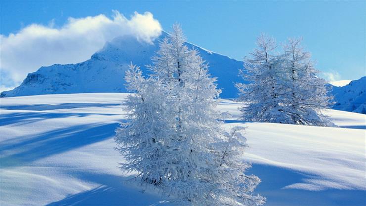 Piękno przyrody zimą - Piękno przyrody zimą 23.jpg