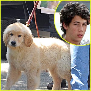 Nick Jonas - nick-jonas-elvis-dog.jpg