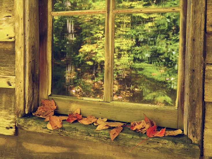 TAPETY - Babcock State Park in Autumn, West Virginia.jpg