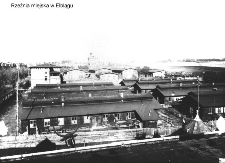 Elblag6 - EL-0502.JPG