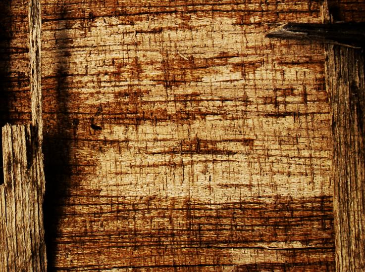 Textures___Wood_by_onecoldcanadian - occ-wp-wood-008.bmp