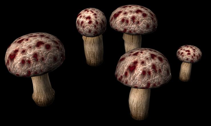 grzyby - mushrooms006.png