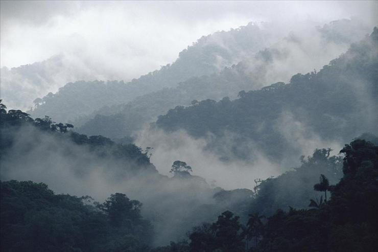 XL the best - Misty Penas Blancas Valley, Monteverde Cloud Forest Reserve, Costa Rica.jpg
