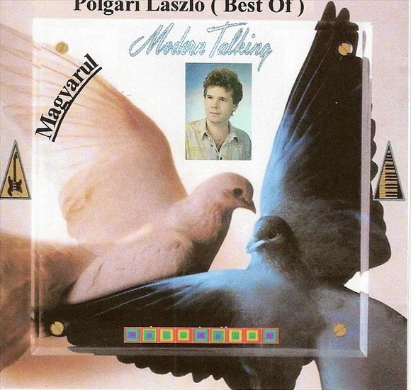 Polgri Lszló Best Of Modern Talking Magyarul - Palgari 1.jpg