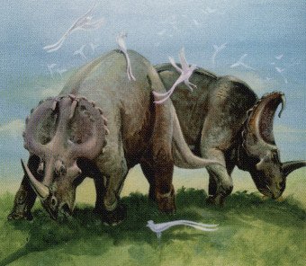 c - centrosaurus.jpg