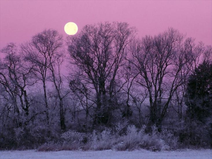 Krajobrazy - Full Moon over Edwin Warner Park,.jpg