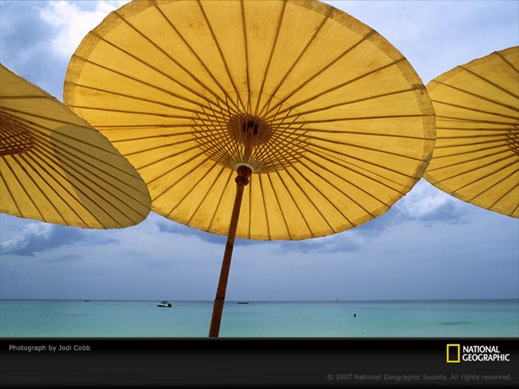 13 - yellow-umbrella-501537-sw.jpg