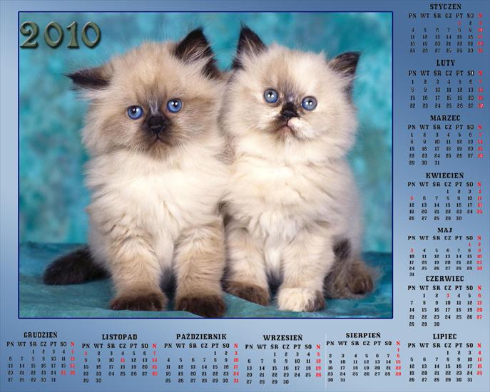 kalendarz 2010 - Bez nazwy 451.jpg