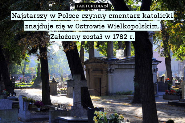 Polska - fakt polski cmentarz.jpg