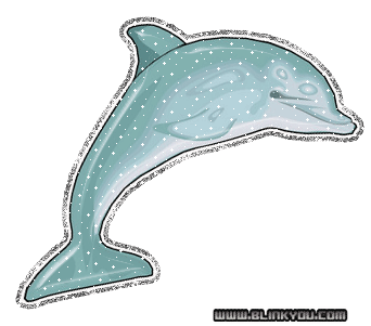 zwierzęta - dolphin.gif