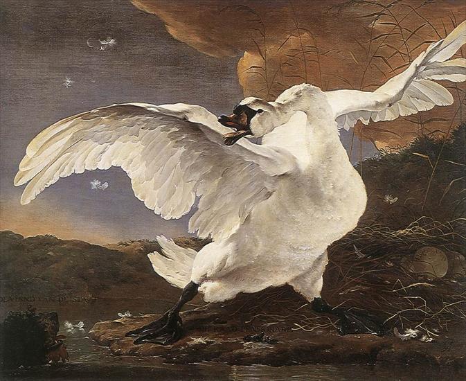 Orientalist Art Paintings - różni artyści - Jan Asselyn - The Threatened Swan.jpg
