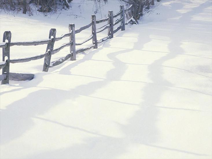 Krajobrazy - Winter Beauty.jpg
