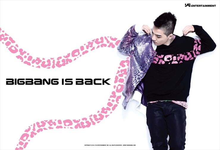 BIG BANG is BACK Tonight - New Image2.JPG