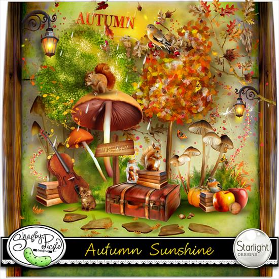 AutumnSunshine - folder.jpg