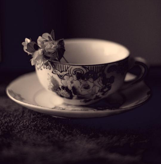 Czarno-białe - flower_teacup_by_sayra.jpg