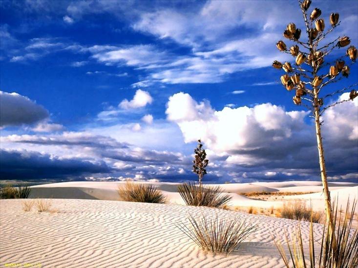 Krajobrazy - 8 Desert Bliss.jpg