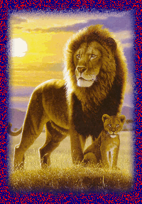 Lwy i tygrysy - 1457211211.gif