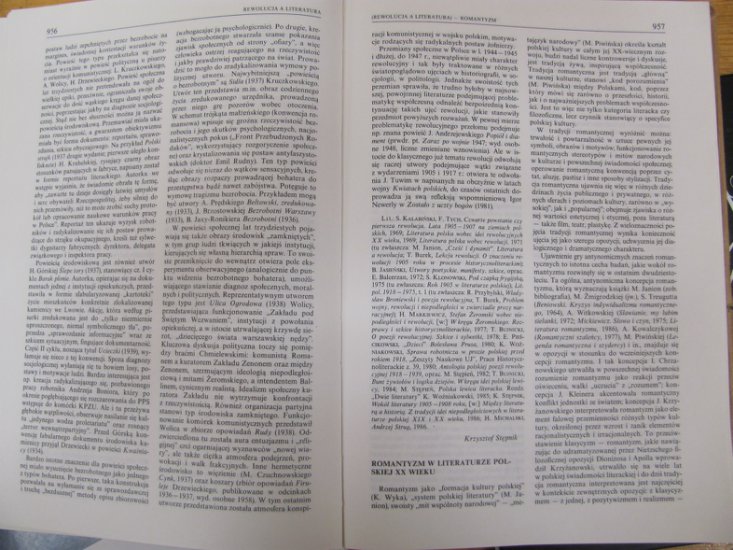 słownik XIX wieku - Rewolucja a lit. 6.JPG