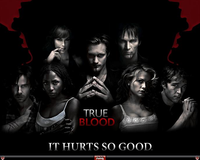 zachomikowane - True-Blood-true-blood-7167238-1280-1024.jpg