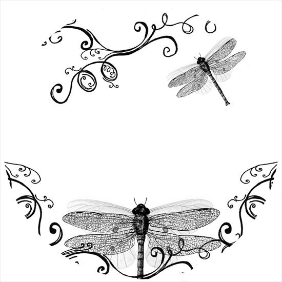LIGHT SCRIBE - full_dragonflies.jpg
