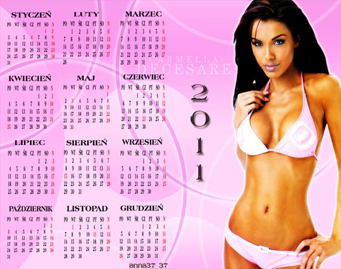 kalendarze 2011 - anna 37_37.png