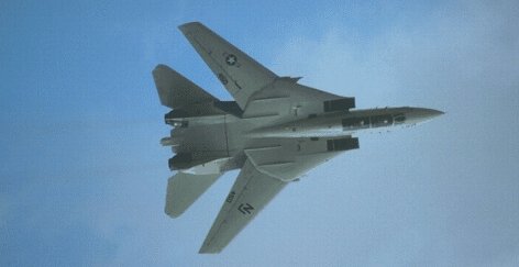 TAPETY-Samoloty - F-14C.JPG