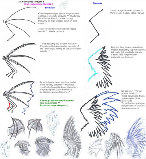 Zdjęcia - How_draw_wings_by_1993Mariola.jpg