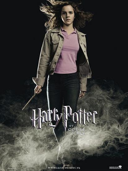 Harry Potter - Hermiona we mgle.jpg