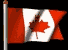 FLAGI - flaga_kanady.gif
